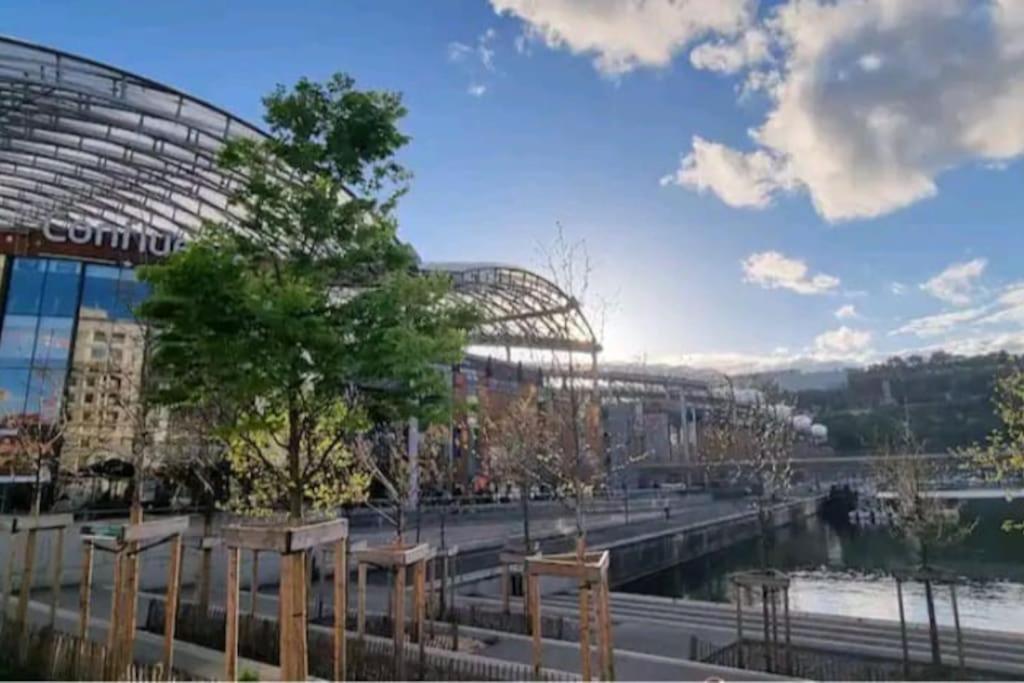 Appartement Dans Peniche Atypique Et Idyllique A Confluence Lyon Eksteriør bilde